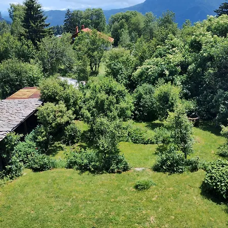 Chapov Guest Smolyan